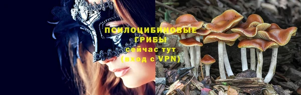 a pvp Верхний Тагил