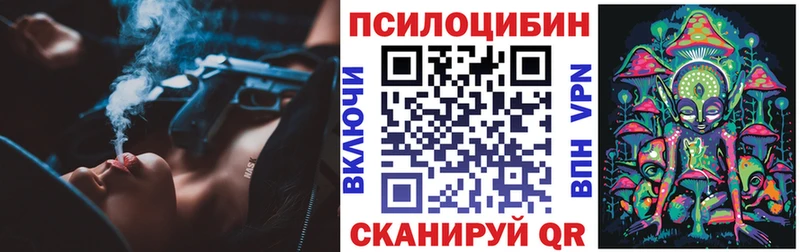 Купить где  Балашов  Галлюциногенные грибы мицелий 