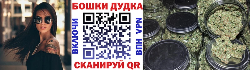Купить где  Балашов  Шишки марихуана OG Kush 